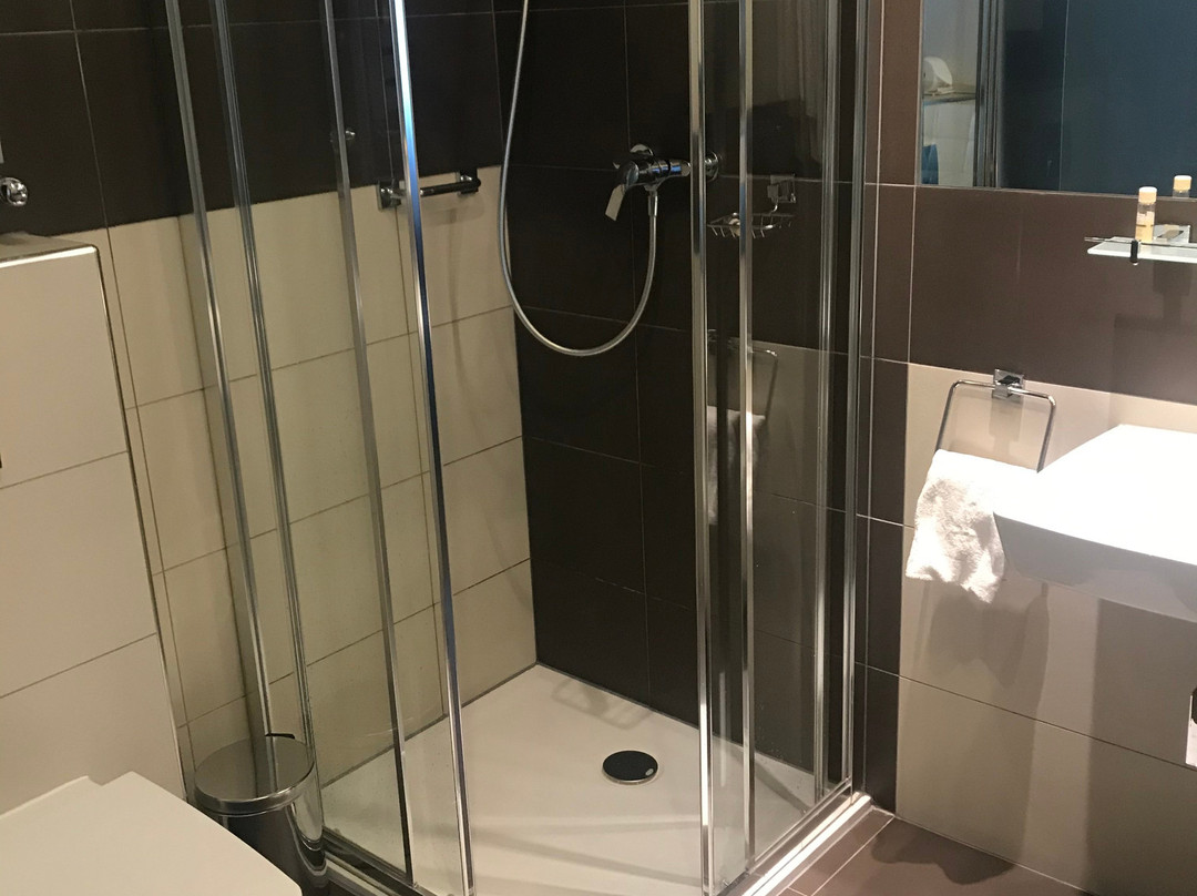 Park Hotel Diament Zabrze主图