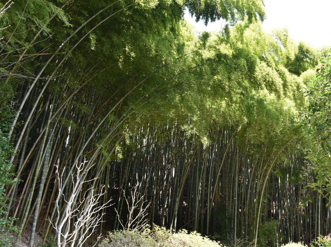 Sesson-an-郡山市必去景点