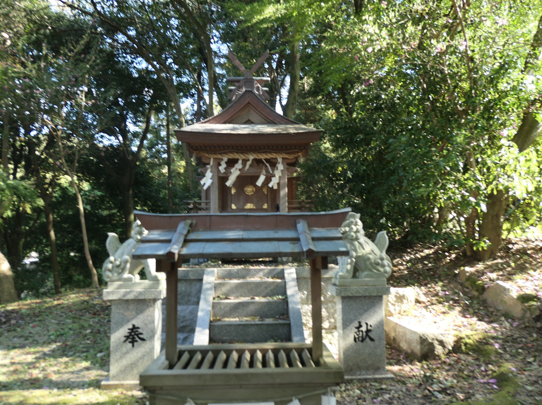 Sumo Shrine-樱井市必去景点