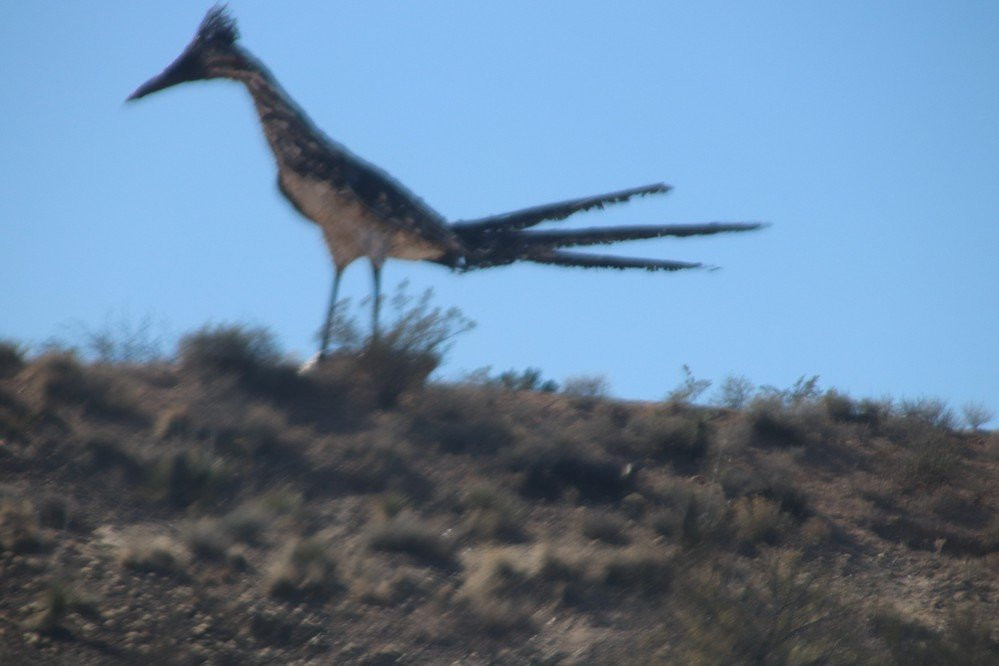 Recycled Roadrunner Sculpture-拉斯克鲁塞斯必去景点