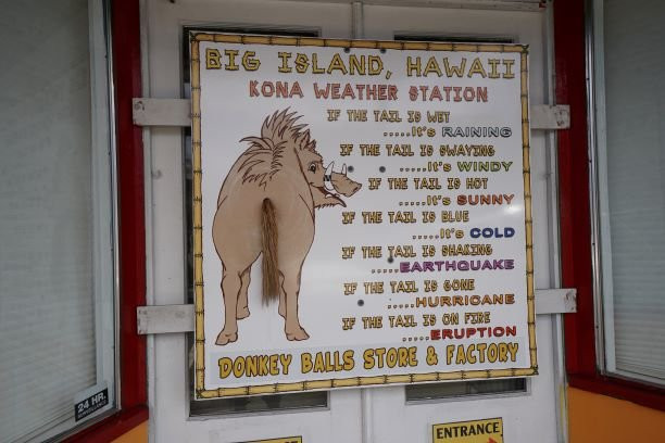 The Original Donkey Ball Store-基亚拉凯库亚必去景点