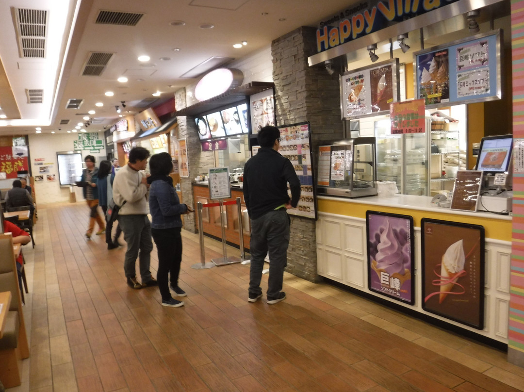 Yokokawa Service Area Outbound-安中市必去景点