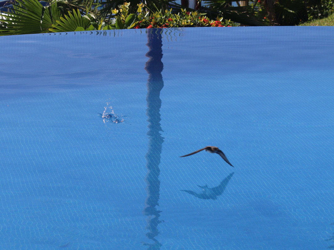 Hotel Punta Serena & Resort主图