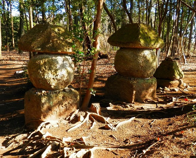 Tenpyo no oka Park-下野市必去景点