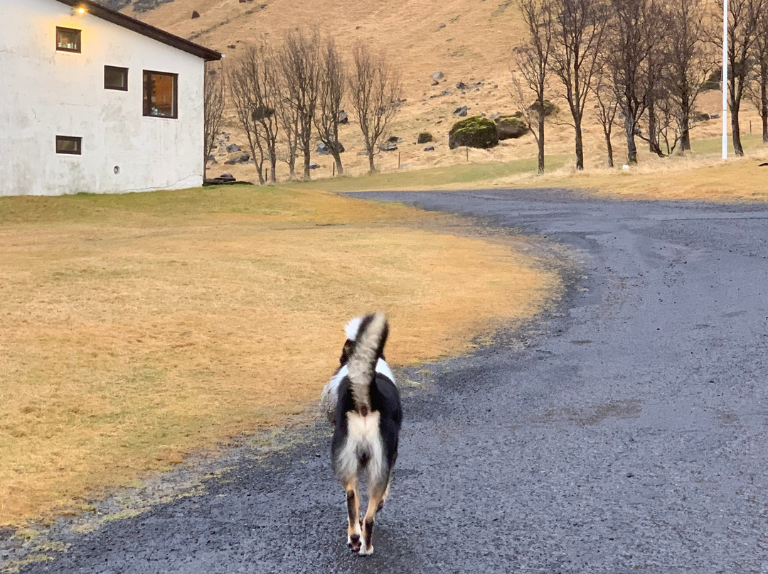 The Garage - Studio Apartments主图