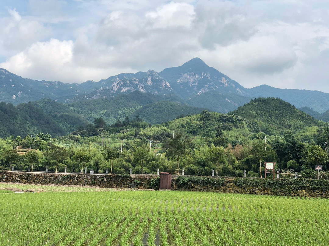 龙川胡氏宗祠-绩溪县必去景点