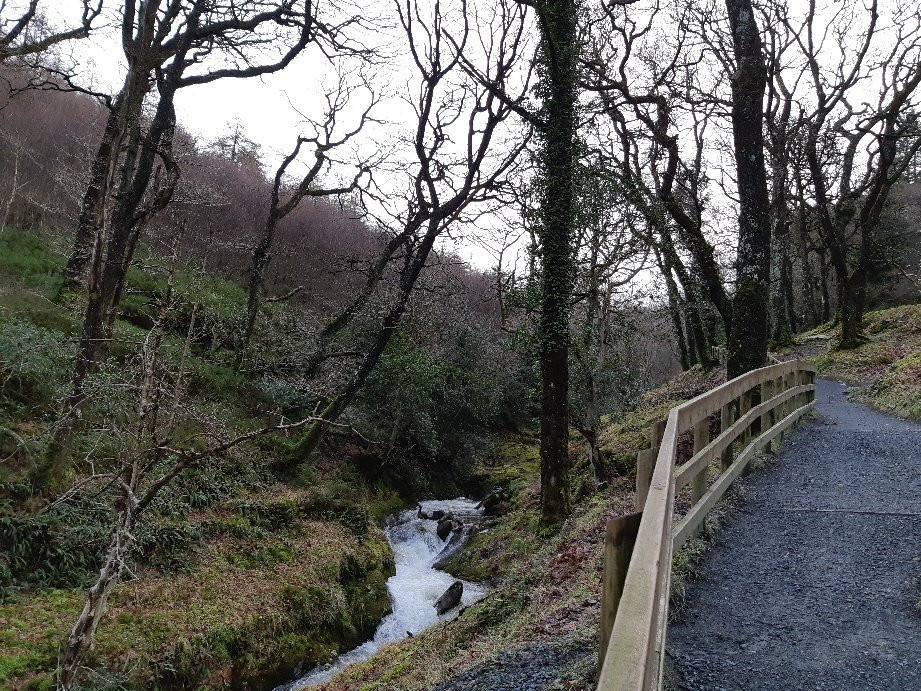 Poulanass Waterfall-Derrybawn必去景点