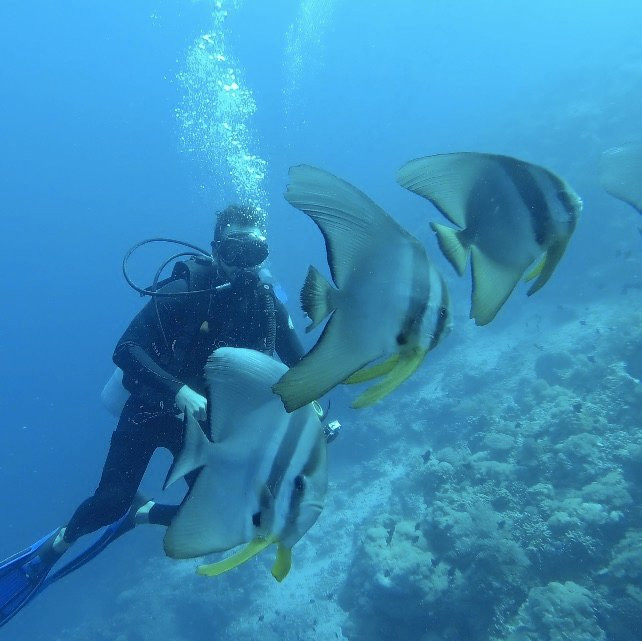 Bira Dive Centre景点图片