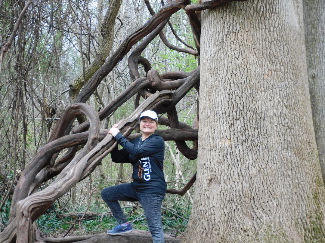 Pony Pasture Park (James River Park System)-里士满必去景点