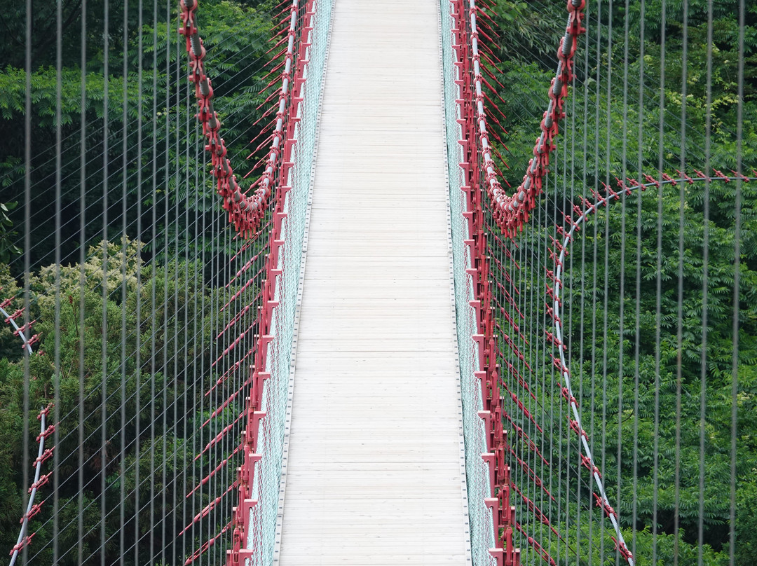 Sengando Suspended Bridge景点图片
