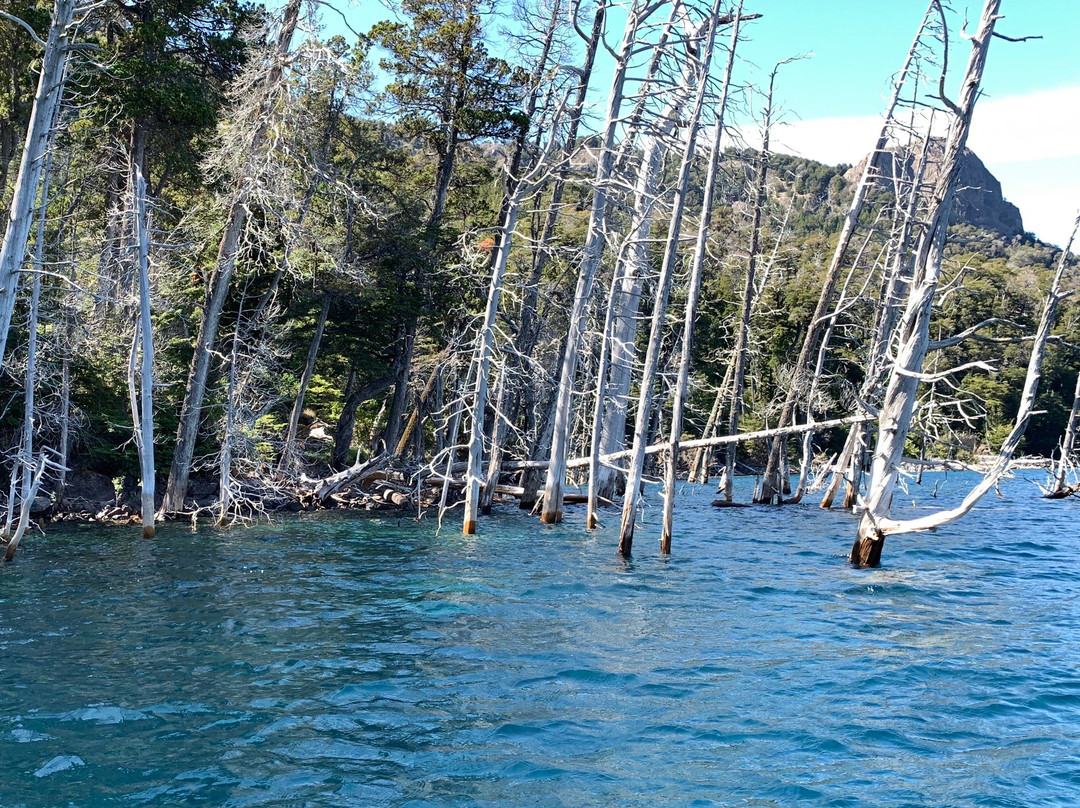 Bosque Sumergido-Villa Traful必去景点