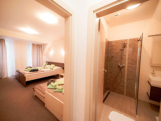 Wellness & Spa Hotel Certov主图