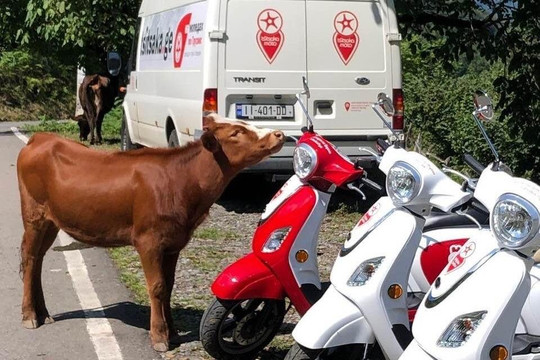 Tsitsaka moto-巴统必去景点