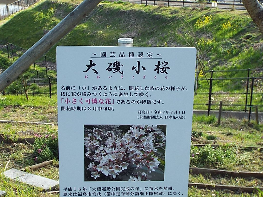 Oiso Sports Park-大矶町必去景点