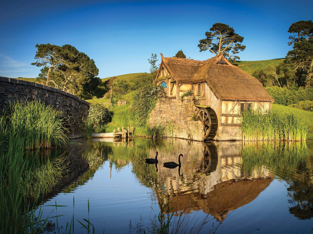 Maxwell Airport transfers and tours NZ-奥克兰必去景点