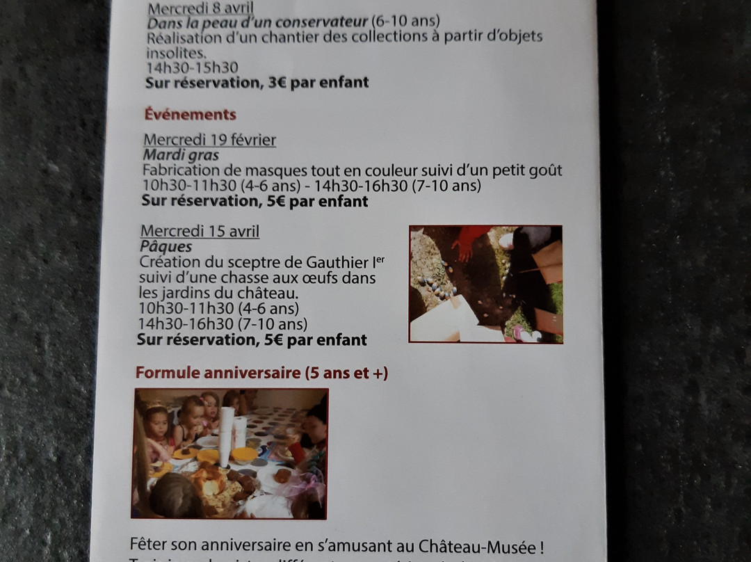 Château-Musée de Nemours景点图片