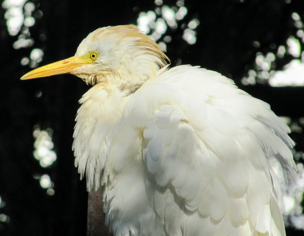Haifa Educational Zoo-Haifa必去景点