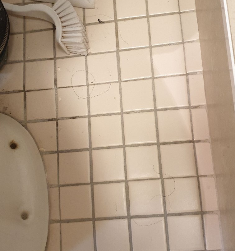 格林威治酒店主图