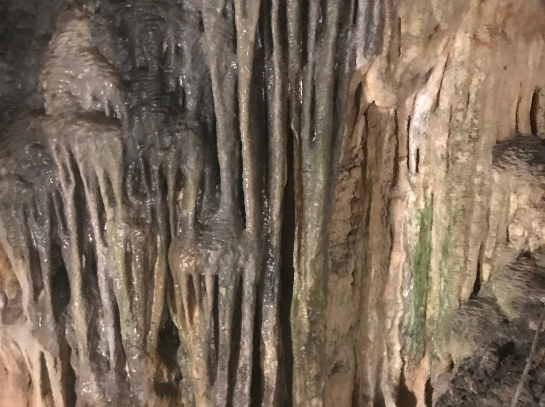 Cathedral Cave-汉密尔顿必去景点