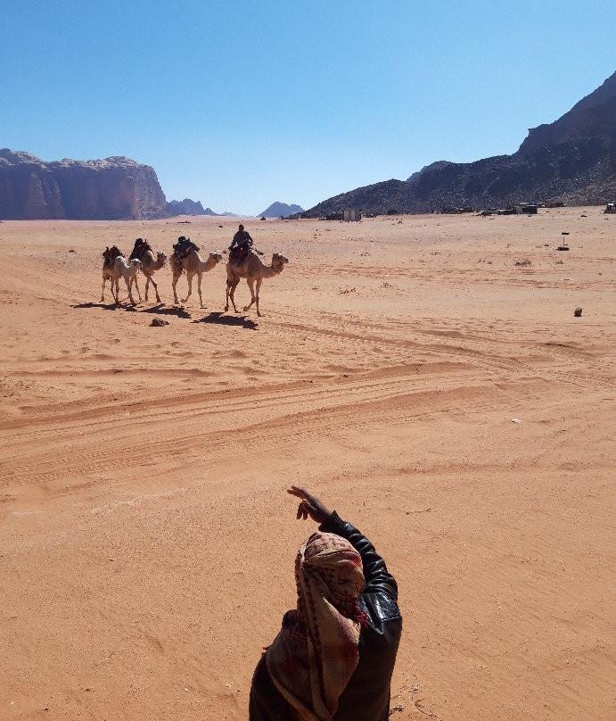 Zawaideh Desert Camp主图