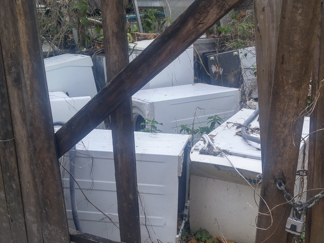 费兹洛伊岛度假村主图