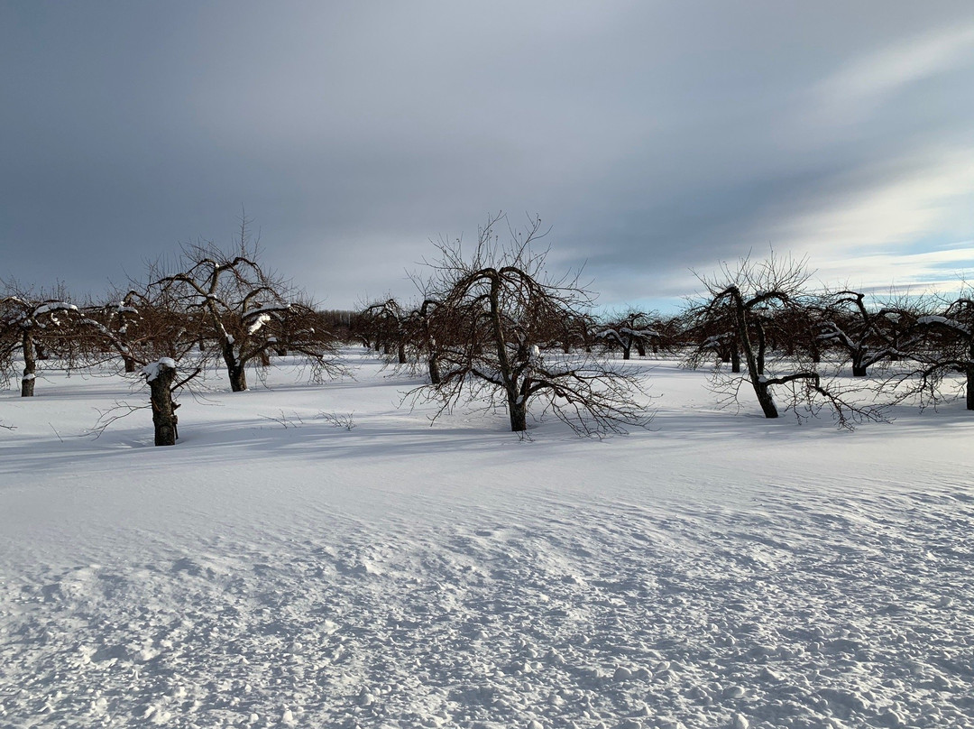 21 North B & B主图