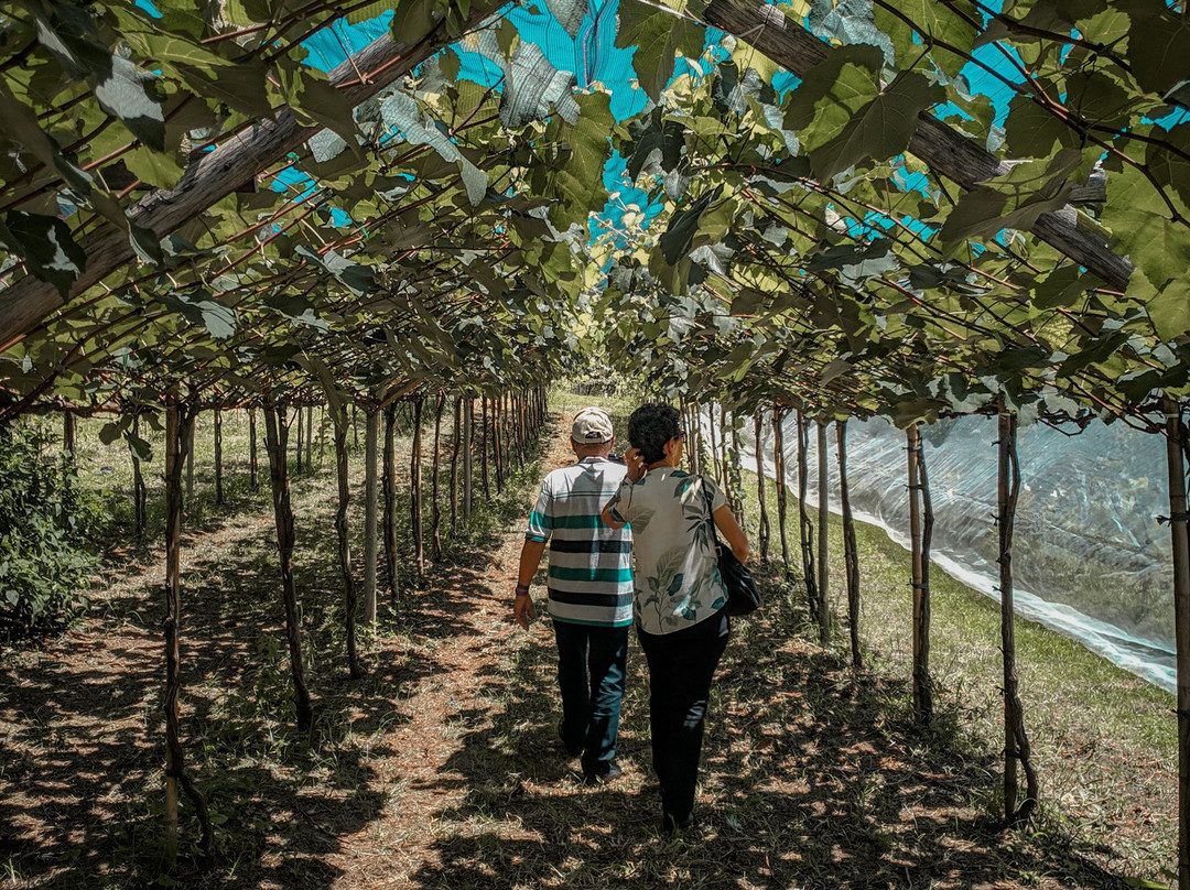 Adega e Cervejaria Galvao-容迪亚伊必去景点
