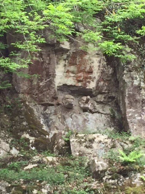 Izutama Shrine景点图片