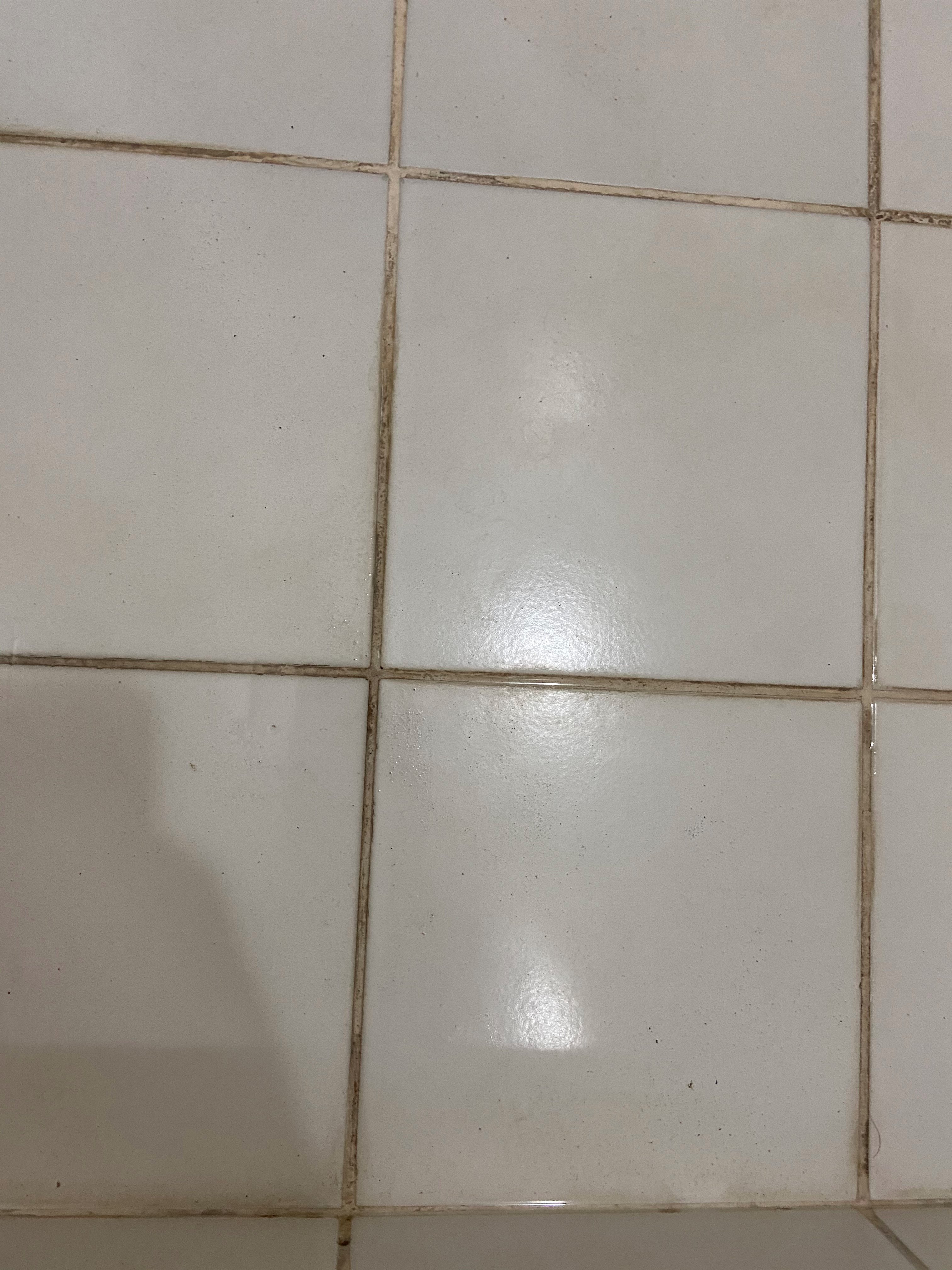 弗拉明戈滨海酒店-浴室