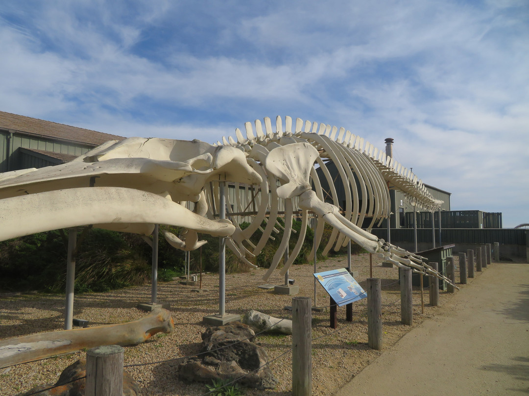 Seymour Marine Discovery Center-圣克鲁斯必去景点