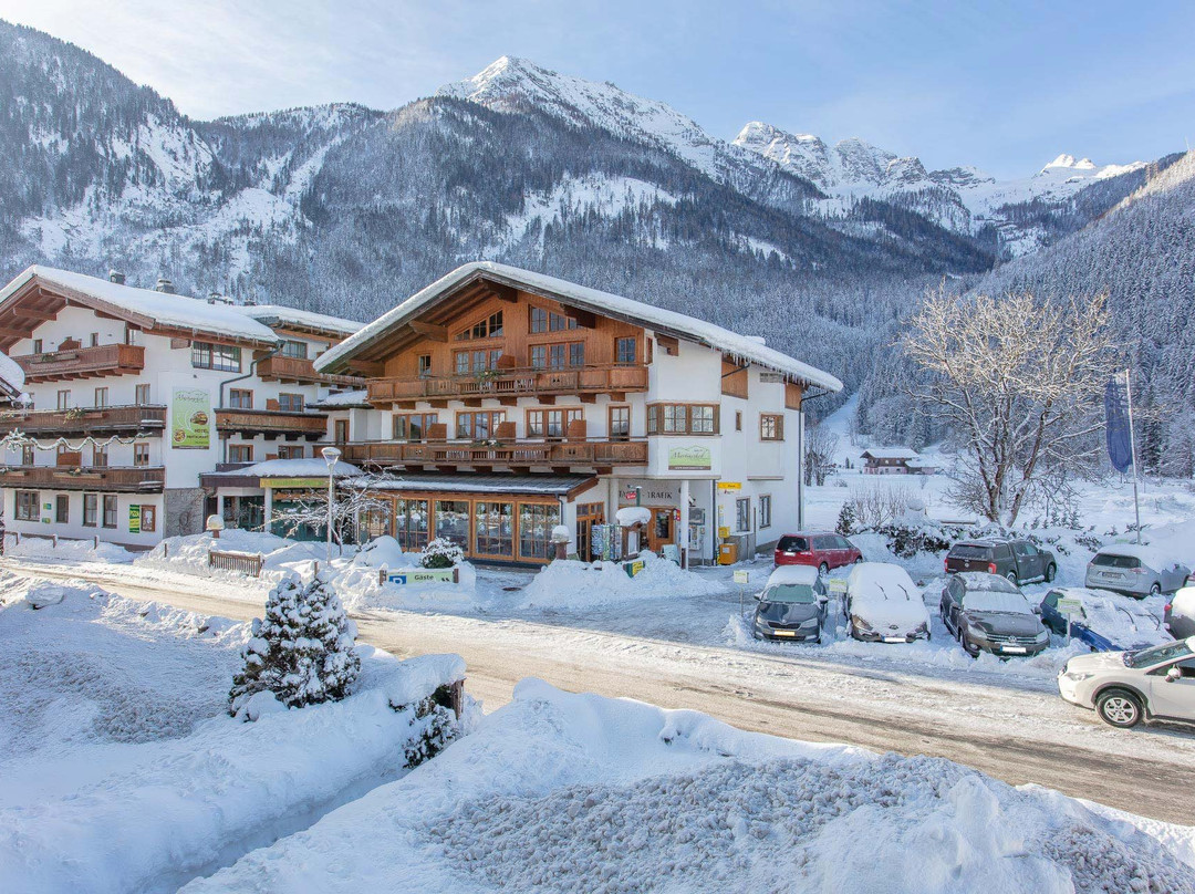 Hintertal酒店住宿-Ferienhotel Martinerhof