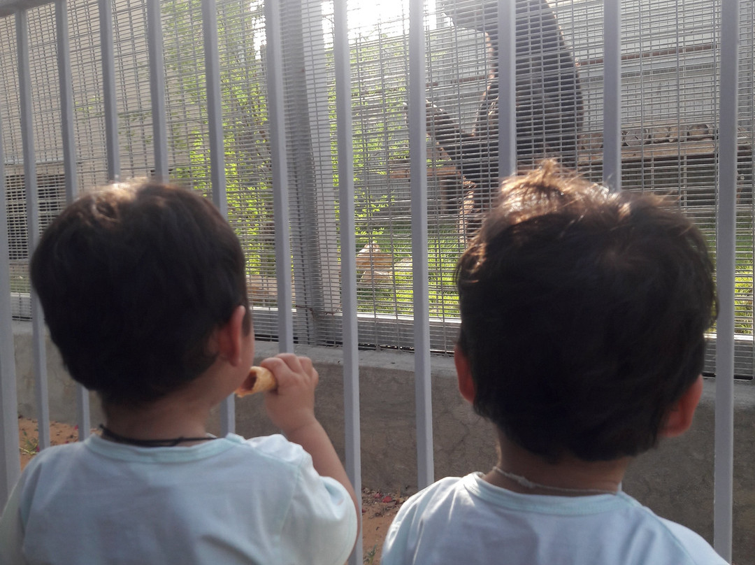 Riyadh Zoo-利雅德必去景点