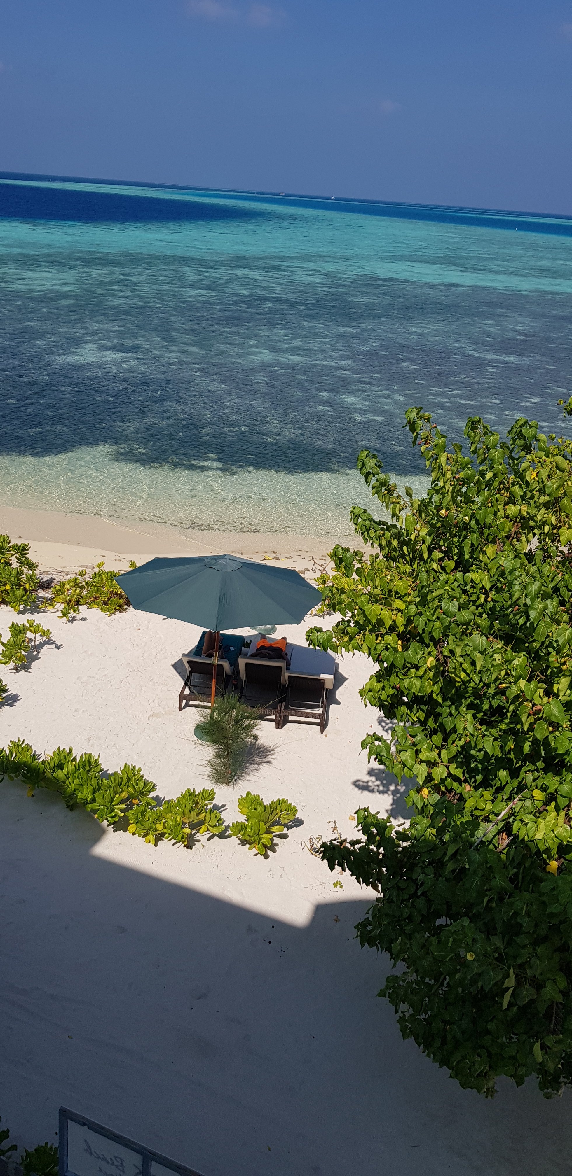 Guraidhoo Inn, Maldives-官方