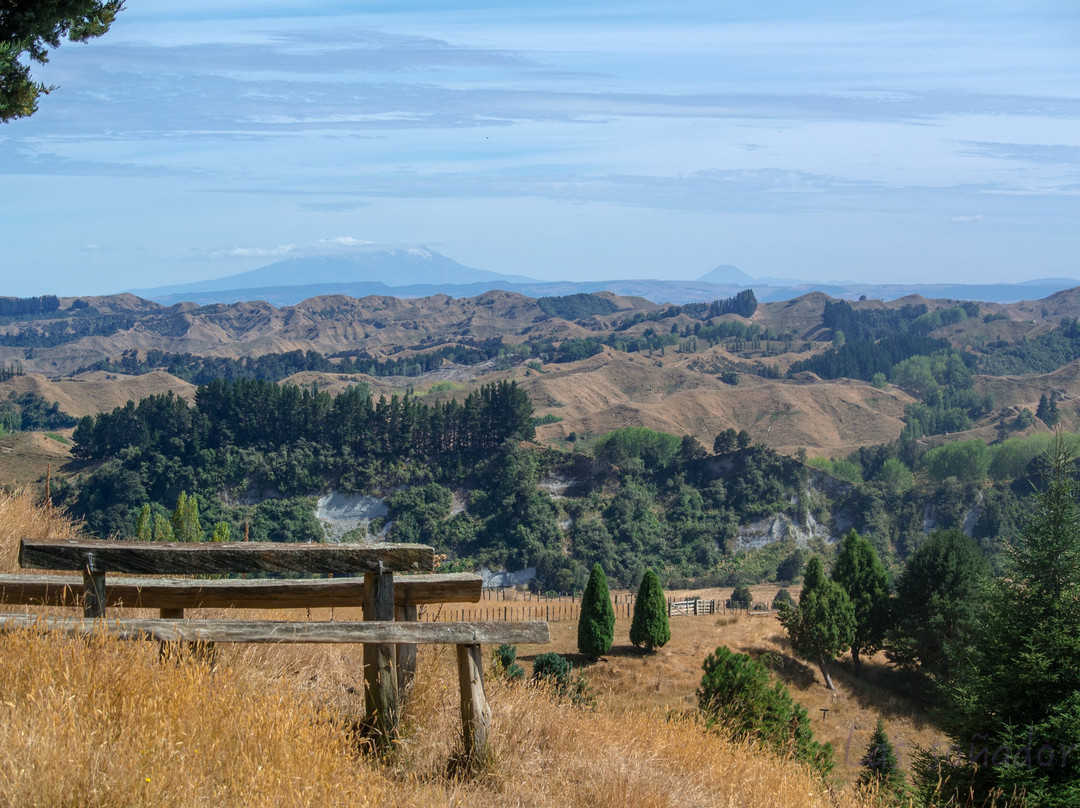 Manawatu Scenic Route景点图片