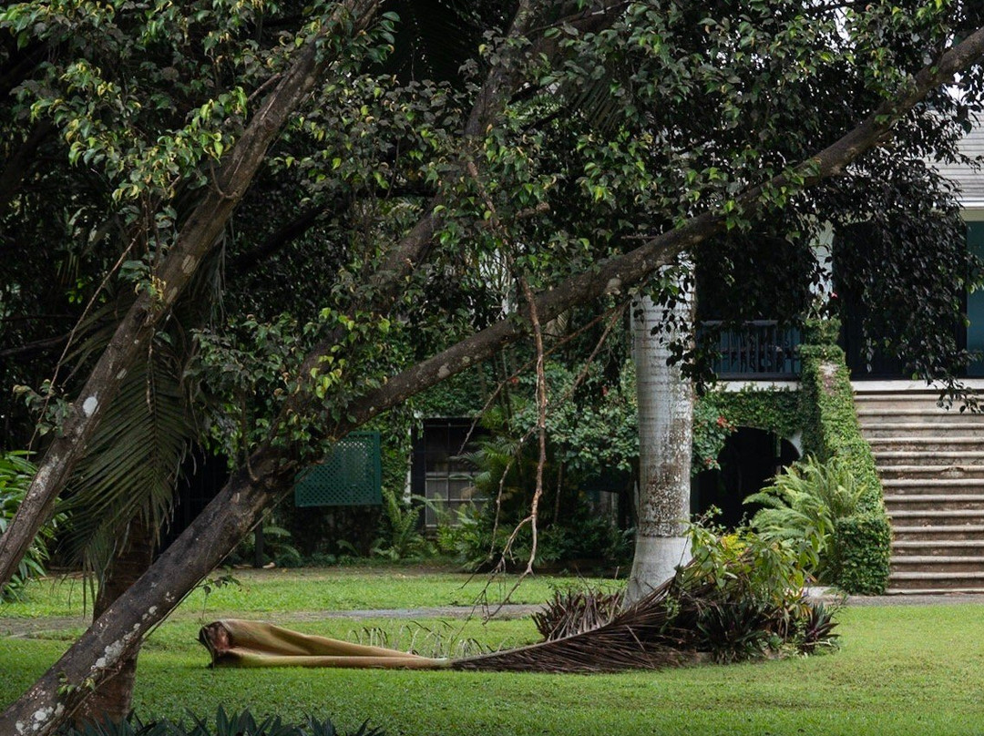 Real Best Tours and Taxi Jamaica-奥乔里奥斯必去景点