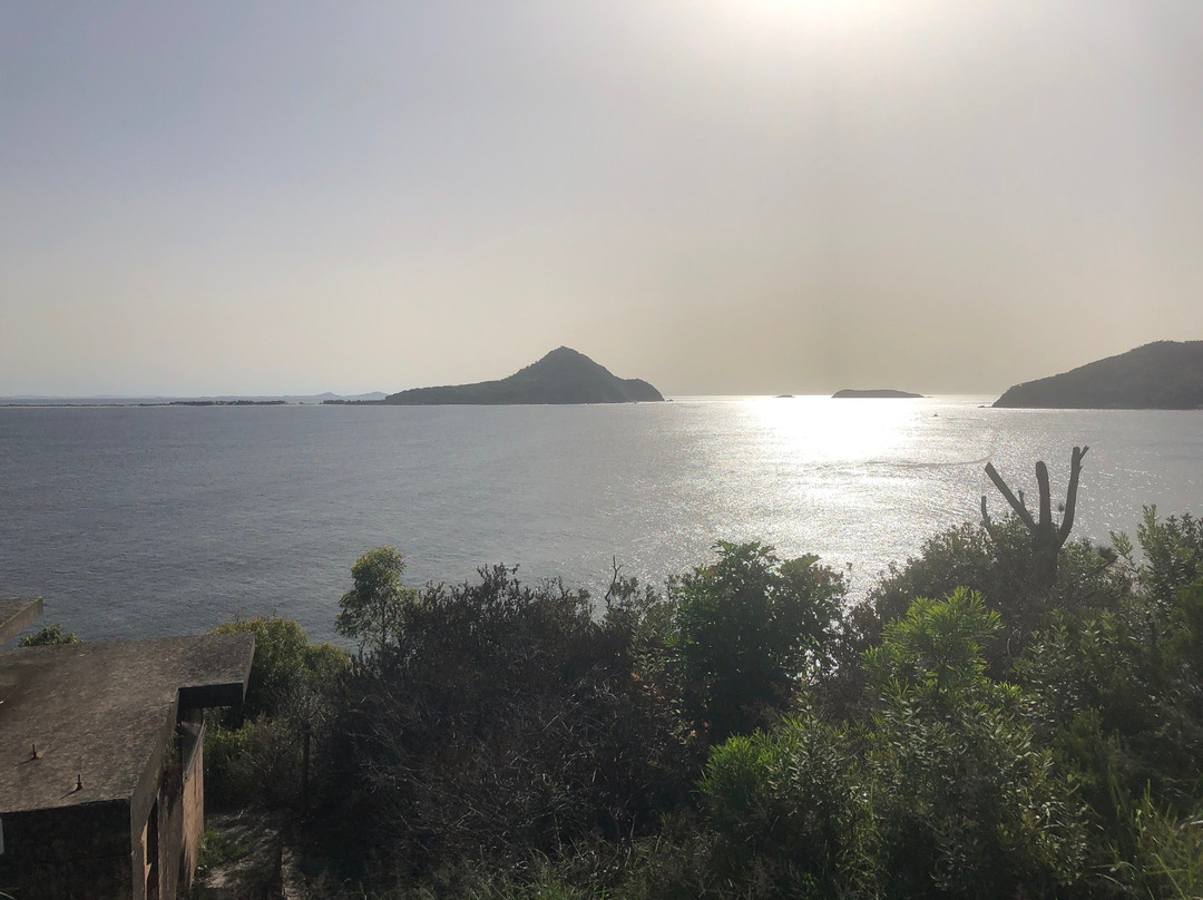 Nelson Head Heritage Lighthouse and Reserve景点图片