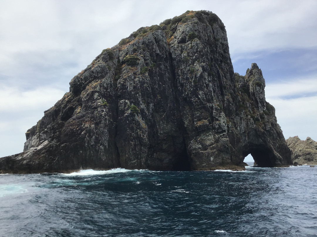 Poor Knights Island Marine Reserve景点图片
