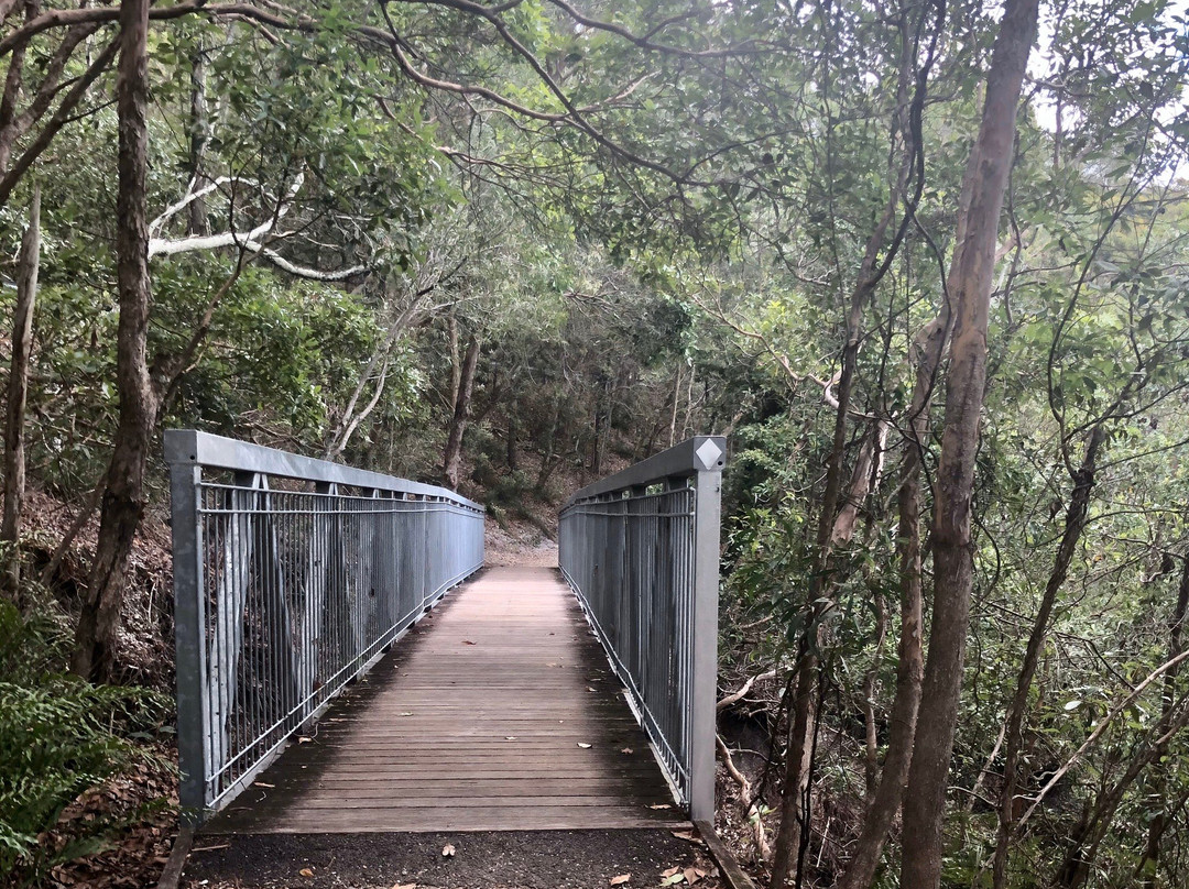 图海森林-布里斯班必去景点