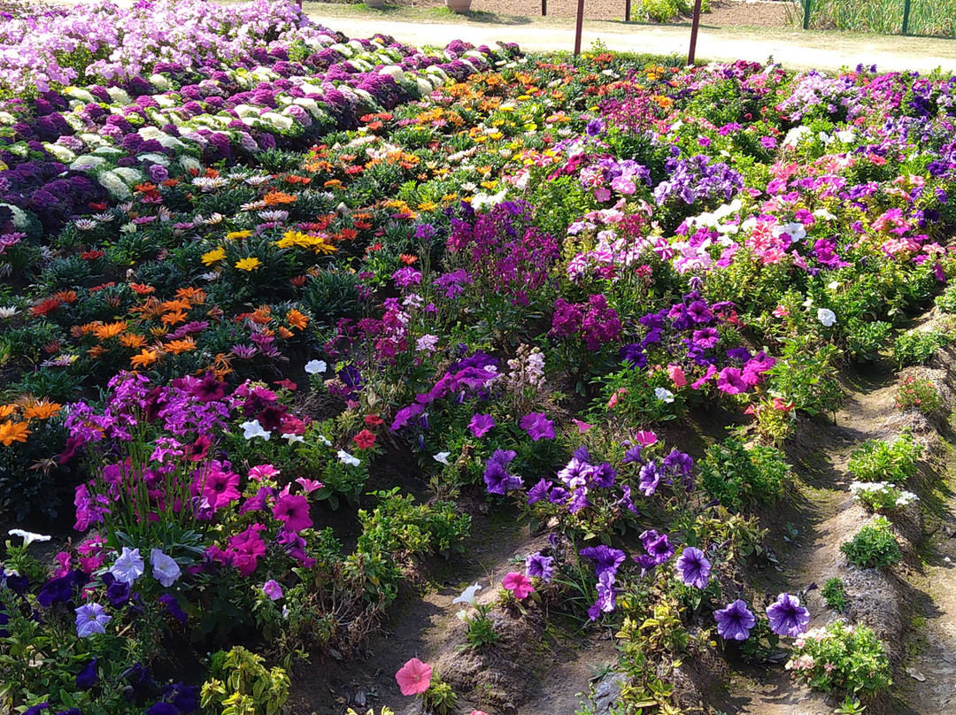 Pratapgarh Farms-Jhajjar必去景点