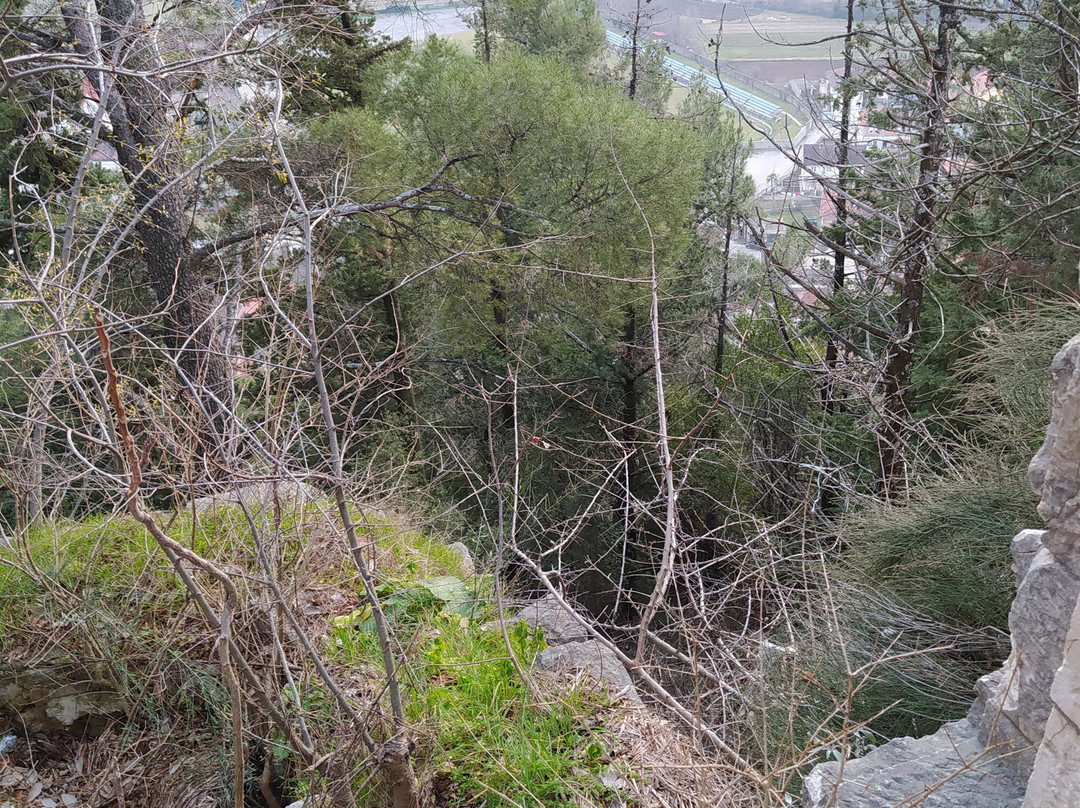 Stari grad景点图片