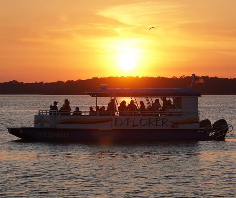 Cetacean Cruises-橙色海湾必去景点