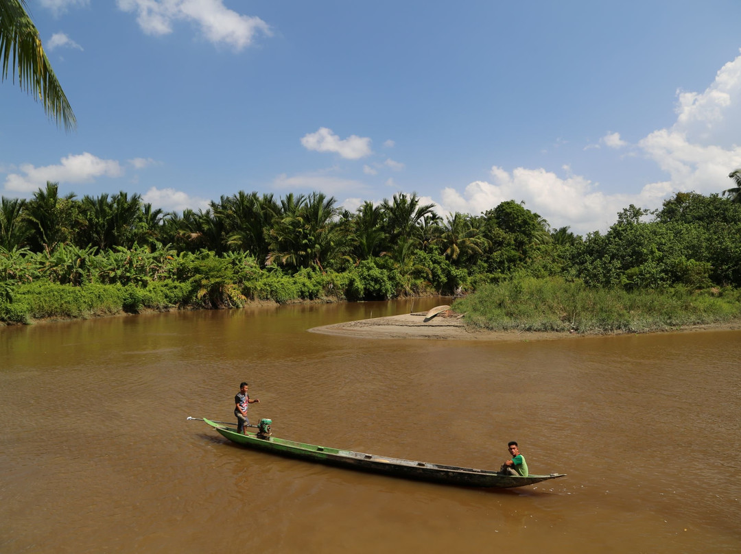 Siberut National Park-Siberut必去景点
