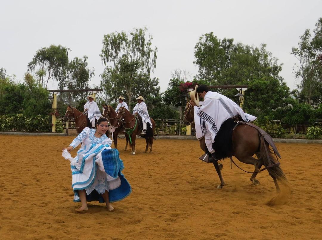 Lima Cabs & Private Tours-利马必去景点