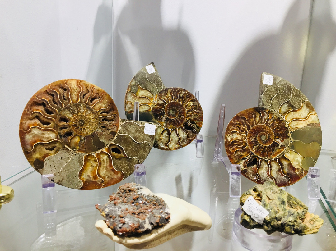 Crystal Cabin Gallery-Tlell必去景点