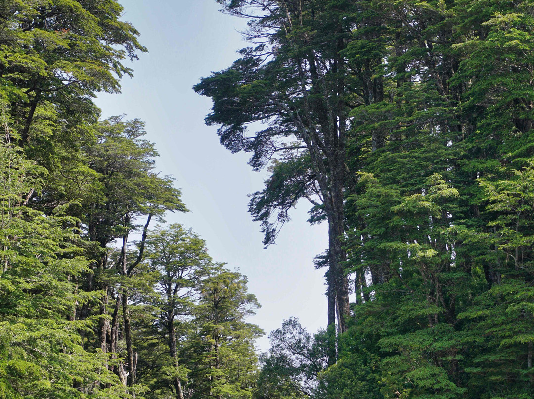 Volcan Osorno-蒙特港必去景点