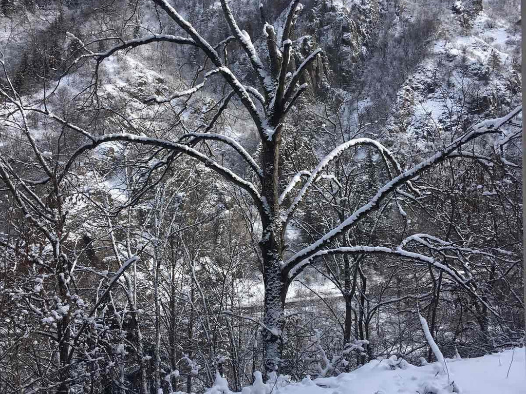 Borjomi-Bakuriani Railway-Borjomi必去景点