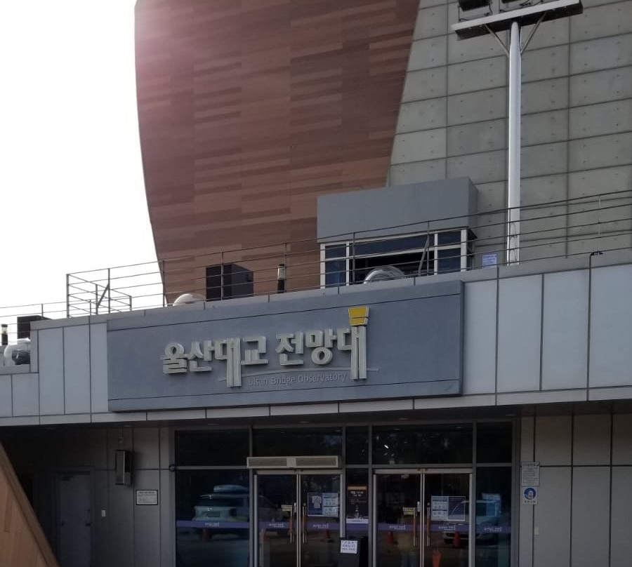Ulsan Bridge Observatory-蔚山必去景点