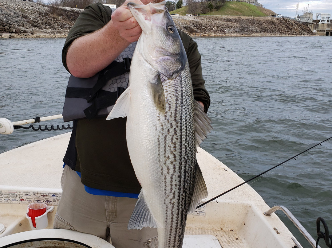 Fish On! Guided Tours景点图片