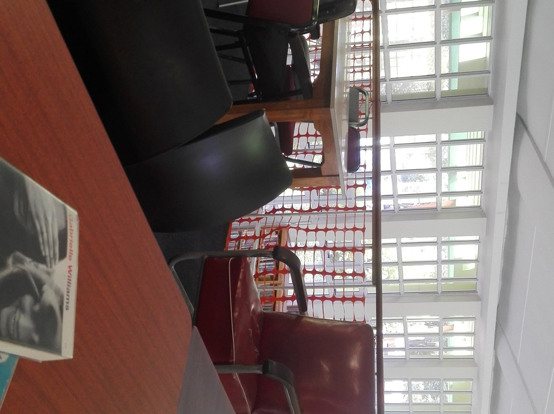 Main Public Library-伊丽莎白港必去景点