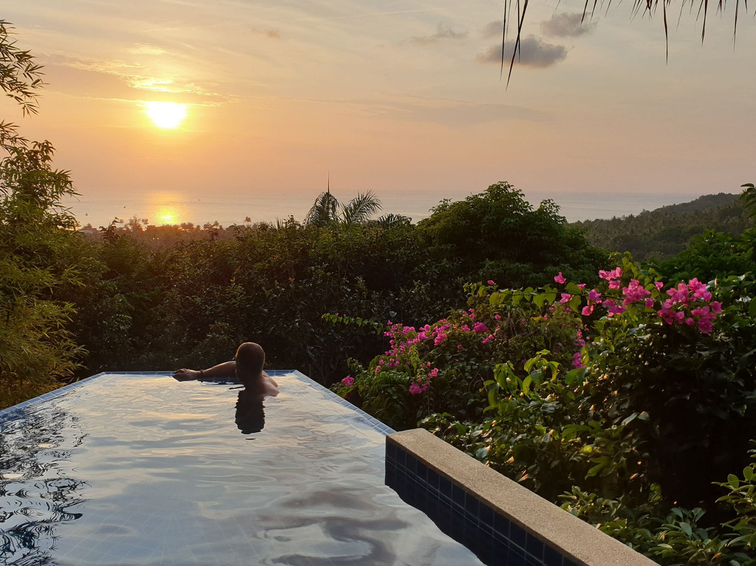 帕里斯奢华精品别墅主图